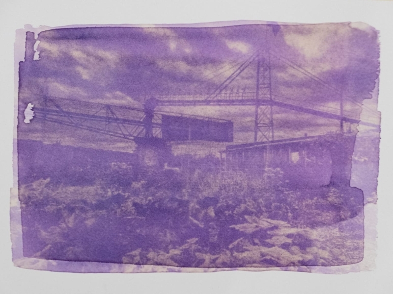 Anthotype Goudasfalt